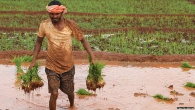 The Global Times | कृषी विधेयकाला महाविकास आघाडी सरकारचा विरोध